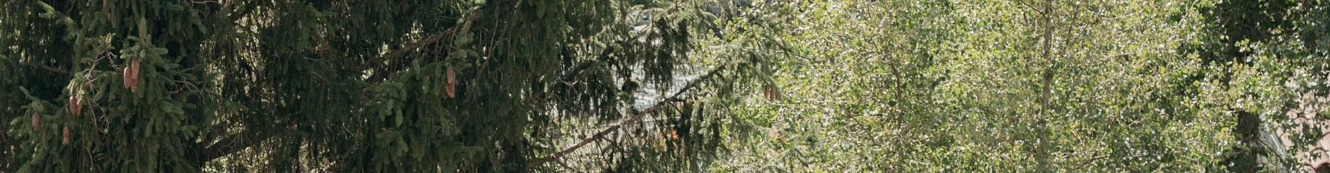 Frequently Asked Questions about Hotel El Niu de Martinet